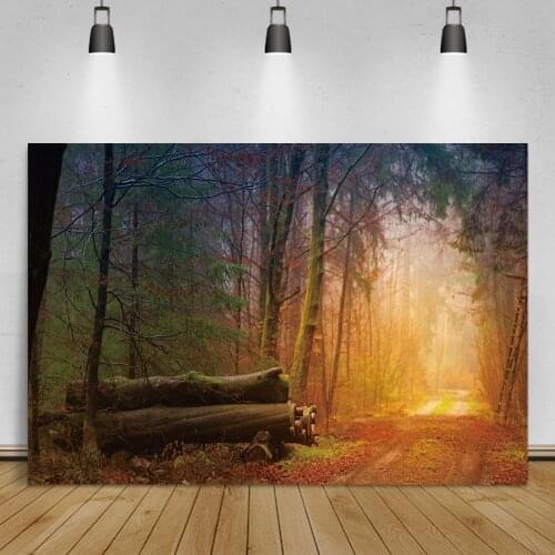 Laeacco Autumn Nature Scenic Forest Sunshine Park Way Fallen Leaves Wooden Photographic Background Child Portrait Photo Backdrop