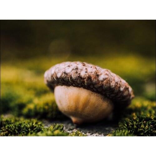 LIPHISFUN Needlework Diamond Painting 5D Diamond Embroidery Full Square Drill Home Decoration Square/round Delicious Food