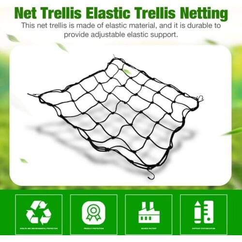 Net Trellis Elastic Rubber Growing Tent Garden Trellis Support Plant Netting Climbing Vine Plants Net Garden Flower For Vegetabl