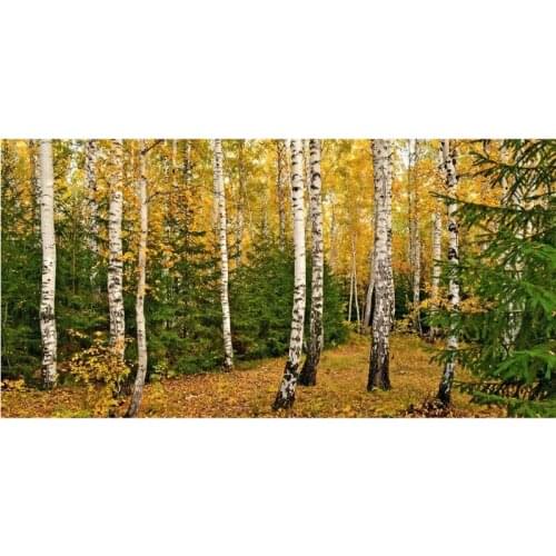 Super Soft birch forest Bath Towel toalhas de banho Large Beach towels strandlaken Personalized Washcloth Washrag 70 X 140CM