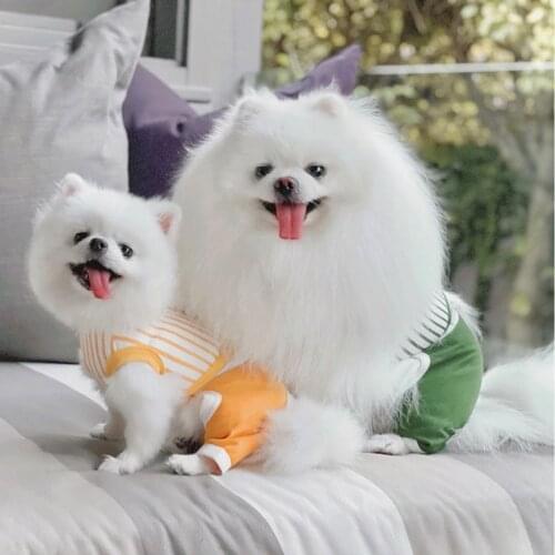 New Pet Dog Clothes Cute Puppy Four-Legged Clothes for Small Dogs Shirt Spring Summer Pets Clothing for Chihuahua Pug Ropa Perro