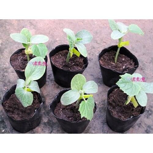 Free shipping,8*8cm,100pcs/lot,garden nursery pot,thin min plastic pot,garden planting container,nursery bag,garden supplies