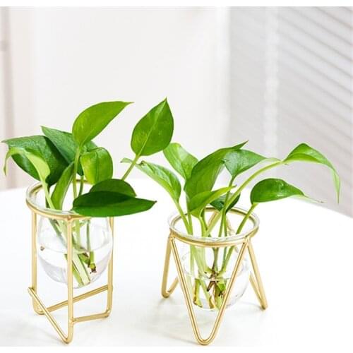 Nordic Style Hydroponic Small Glass Vase Creative Home Decoration Accessories Green Plant Tabletop Vase Wrought Iron Ornaments
