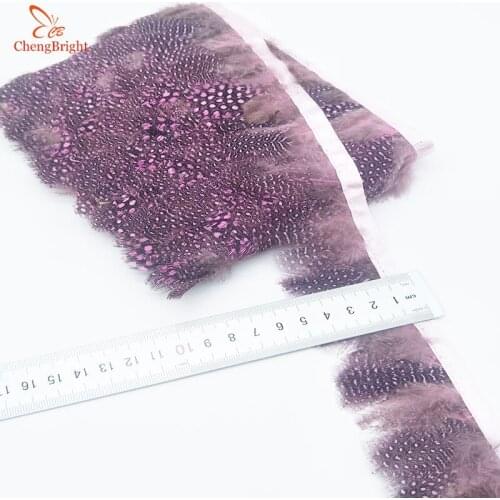 ChengBright Wholesale 10Yards Pink Pheasant Feather Trims Wedding Dress Skirt Party Clothing Decoration Craft Feather Ribbon Diy
