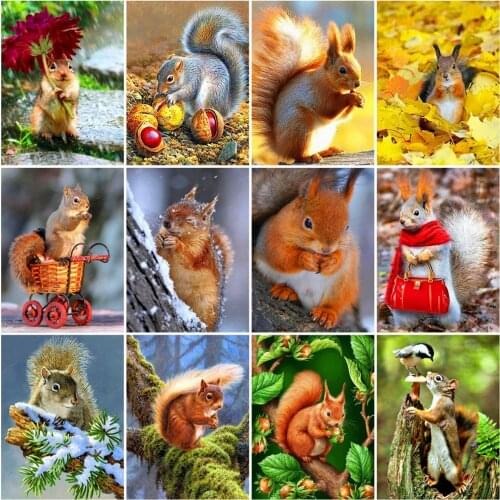 KAMY YI DIY Diamond Embroidery Collection Abstract Squirrel pattern painting Painting Cross Stitch Rhinestones New