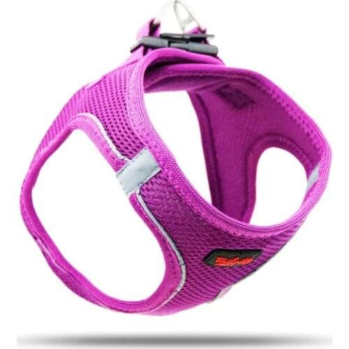 Tailpetz Airmesh Purple Cat Dog Chest Collar 424160707