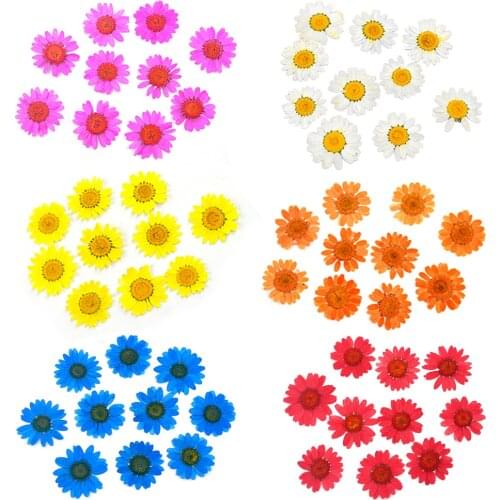 JF049 60pcs-120pcs DIY Dry Flowers UV Resin Natural Real Dried Flower For Epoxy Jewelry Craft Nail Art Decor Candle Accessories