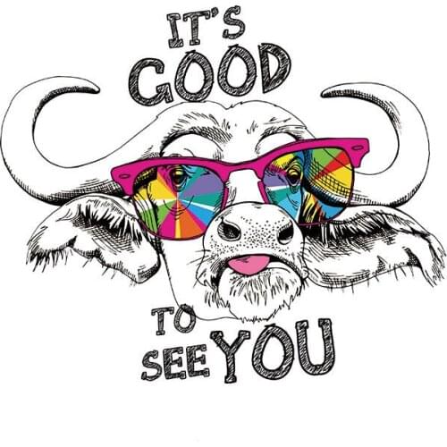 NEW IBull head ron On Patches On Clothes Thermal Heat Transfer Stickers For Hodiees Washable Vinyl