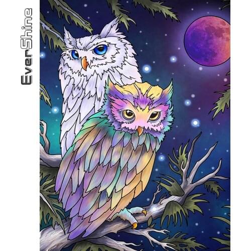 Evershine Diamond Mosaic Owl 5D DIY Full Square Diamond Painting Animals Picture Of Rhinestones Embroidery Cartoon Home Decor
