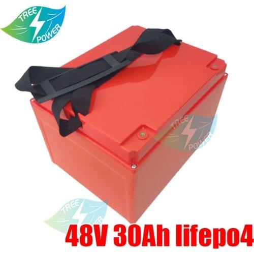 48V 30AH LiFePO4 battery with BMS rechargeable battery for 750w 2000w Inverter bike e scooter bicycle + 5A charger