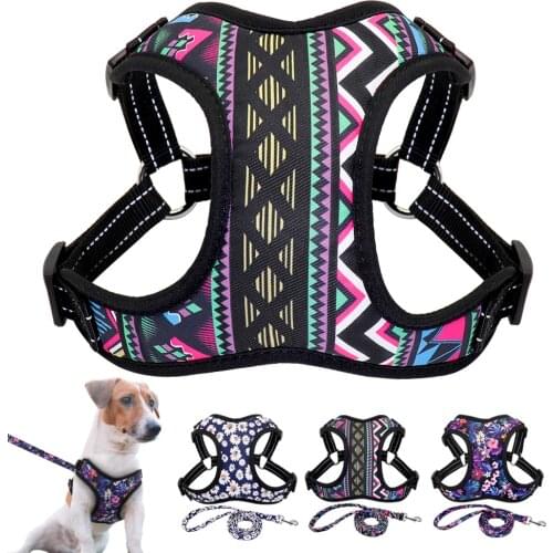 Fashion Dog Cat Harness and Leash Set Nylon Reflective Mesh Small Medium Dogs Cat Harness Vest Leash for Chihuahua Puppy Pet