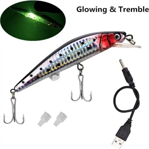 Fishing Lure USB Rechargeable Minnow 12cm 19g Electric Flashing LED Light Tremble Lifelike Floating Bait Sea Fresh Water Fishing
