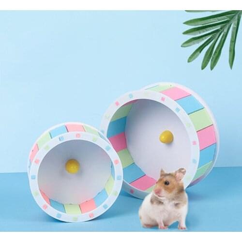 1pcs Pet Sports Wheel Exercise Wheel Hamster Disc Pet Sport Hamster Running Wheel Jogging Wheel Totoro Funny Running Disc Toy