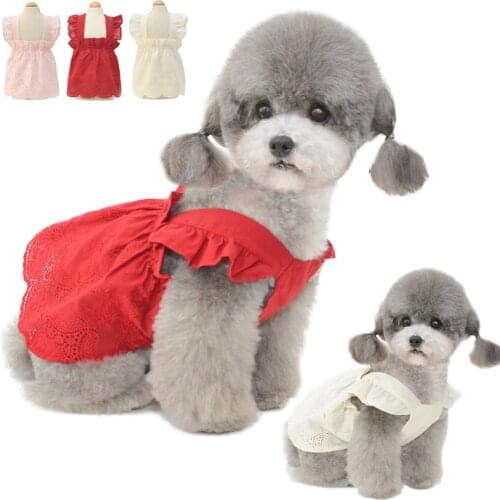 Dog Wedding Dress Summer Cat Pet Dog Clothes Skirt Puppy Dresses Yorkshire Shih Tzu Schnauzer Poodle Bichon Dog Clothing Costume