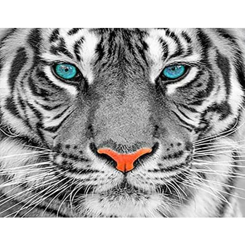 Diy Pictures By Numbers Kits For Adults Handpainted Color Tiger With Butterfly Oil Painting By Number