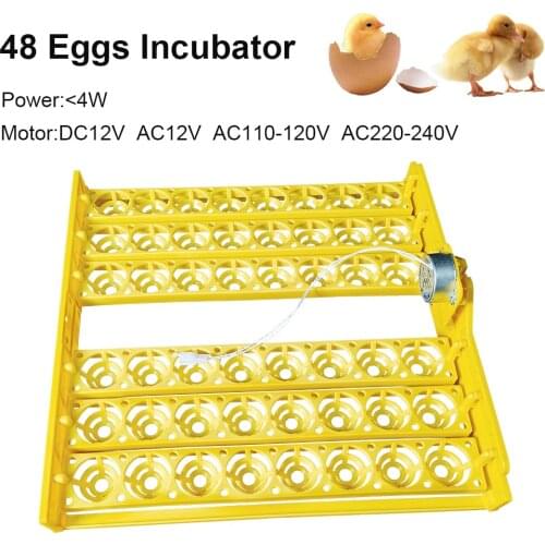 High Quality Egg Incubator Tray Plastic Material 48chicken Eggs 24 Duck Egg Tray110V/220V/12V with Automatic Rotating Motor Farm