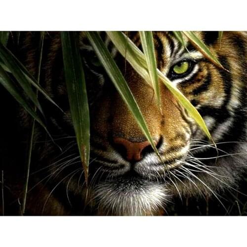 Diamond paiting Jungle Tiger square&round Diamond mosaic full 5d diy daimond painting Needlework Crafts Christmas