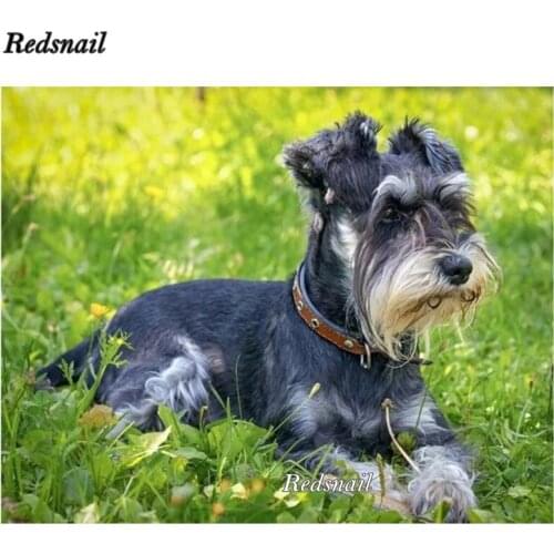 Full Square Round Diamond Painting photos custom pet dog Diamond Mosaic schnauzer dog 5D DIY Diamond Embroidery Rhinestone EE337