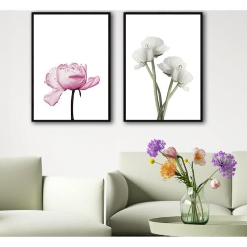 Pink Rose Poster Moth Orchid Canvas Painting Flower Wall Art Print Quote Modern Picture For Living Room On The Wall Home Decor