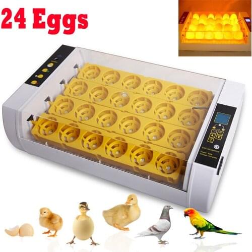 Farm Hatchery Machine 24 Egg Incubator Automatic Hatchers LED Light Controller for Chicken Quail Brooder Smart Brooding Machine
