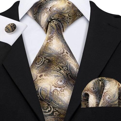 Fashion Designers Men Tie Handkerchief Set 100% Silk Brown Paisley Barry.Wang Neck Tie For Men Groom Wedding Business LS-5023