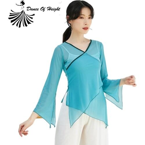Classical Dance Shirt Sexy V Neck Body Rhyme Transparent Gauze Dress Women Chinese Folk Dance Performance Costume Long Sleeve