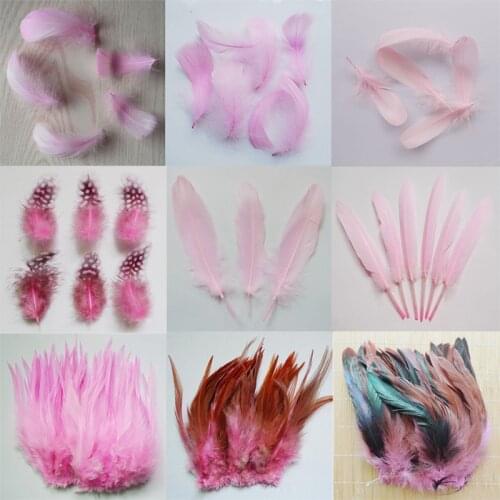 20pcs 11 kinds Pink Color Pheasant tail Chicken feathers Goose Rooster Plume for Party DIY Craft decoration Ostrich feather