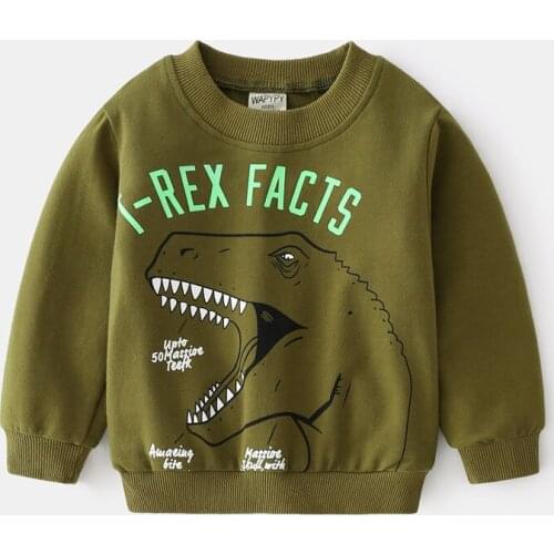 Childrens Sweatshirt 2021 Spring and Autumn Childrens Jacket Baby Cartoon Dinosaur Pullover Top Tees Boys Sports Sweatshirt