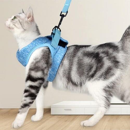 Adjustable Anti-Escape Small Cat Belt Kitten Harness Light Breathable Soft Pet Vest Wiring Harness Traction Belt Kitten Walking