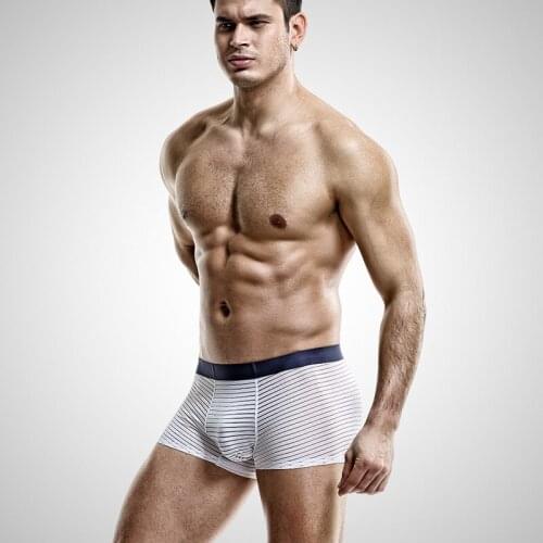 DANJIU Mens Silk Briefs