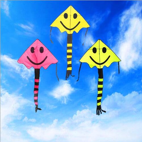Free shipping high quality smiling face kites flying ripstop nylon fabric kite wei kites factory price wholesale albatross kite