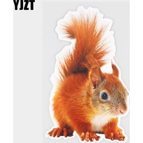 YJZT 11.4×18.8CM Red Squirrel Fashion Body Decoration Car Sticker Cute Animal Vinyl Decals 21A-1003