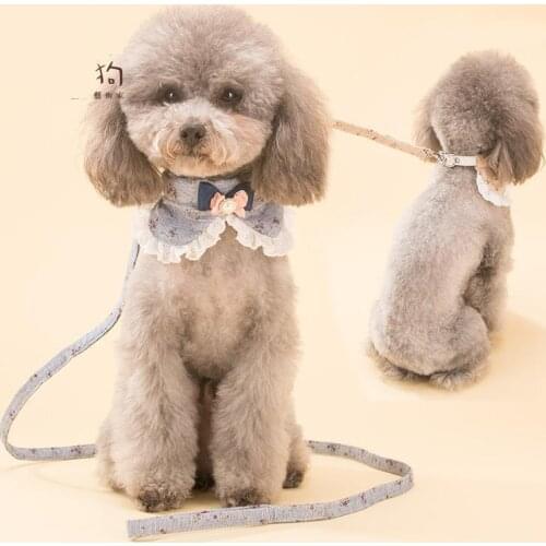 Dog Leash Collar Set Dog Chain Dog Rope Cute Little Flower With Bow Tie Teddy