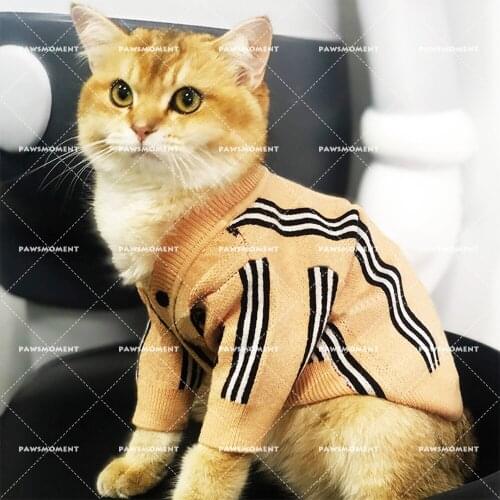 Winter Pet Dog Clothes for Small Dogs Clothing Chihuahua Cotton Warm Sweater for Yorkies Luxury Apparel Dog Accessories PC1600