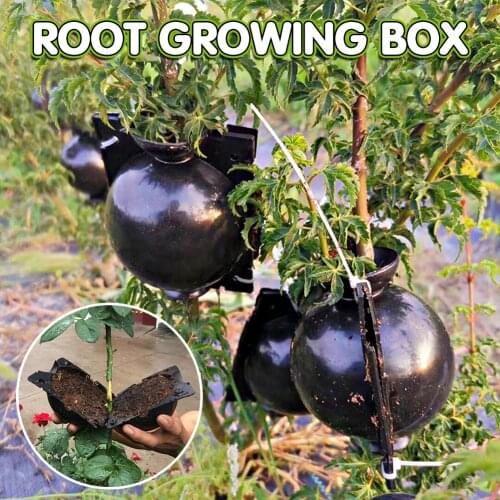 5Pcs/Lot Plant Rooting Ball High Pressure Propagation Grafting Growing Box Breeding Case For Garden Plant Root Grow Box