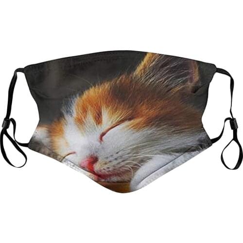 Unisex Print Mouth Cute Furry Cat Pattern Mouth Washed Reusable s Costume Women mascarilla Monder Scarf Halloween Cosplay MasK