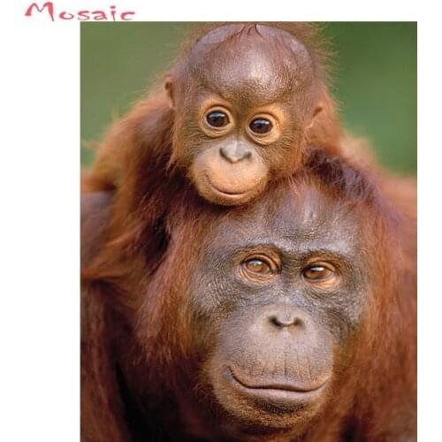 Full square Diamond Embroidery animal orangutans painting rhinestone 5D Diy Diamond Paintings monkey Cross Stitch,mosaic decor