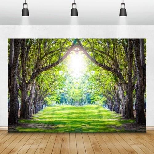 Laeacco Summer Scenery Backdrops Forest Jungle Pathway Trees Sunshine Children Portrait Photography Backgrounds For Photo Studio