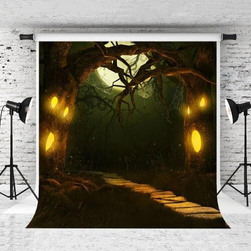 VinylBDS Halloween Moonlight Photography Backgrounds Spider Stone Rosd Ooudoor Photo Backdrops For Children Photo Studio