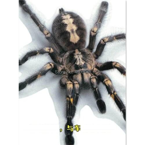 3D Car Sticker Animals Bumper Stickers for ford mondeo mk3 h7 opel zafira b alfa romeo 159 w5w volvo seat ibiza for hyundai i30