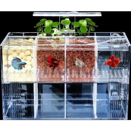 HONGYI 1 piece acrylic bettas cylinder isolated fish tank tilted water pump breeding cylinder baby betta tank guppy breeding