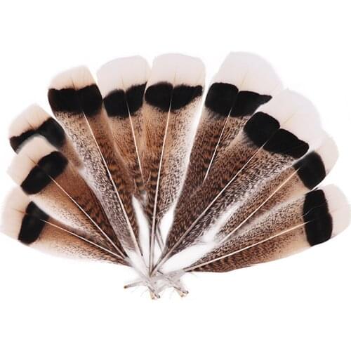 Wholesale Natural Eagle feathers 10-12 Inch(25-30CM)Eagle bird Turkey pheasant feather For Crafts DIY Wedding decoration Plumes