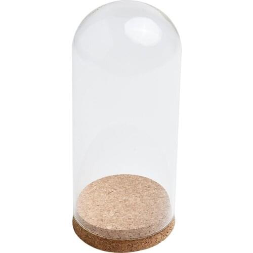 Glass Dome Cover For Flower Succulent Plants Vase With Wood Cork Table Decor DIY Dustproof Case Box Display Stand Table Decor