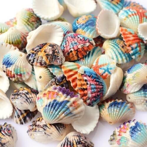 10Pcs/Lot Charm Colorful Sector Natural Sea Shell Loose Spacer Beads For DIY Home Decor Making Jewelry Bracelet Accessories