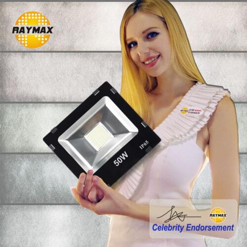 Raymax Professional Lighting