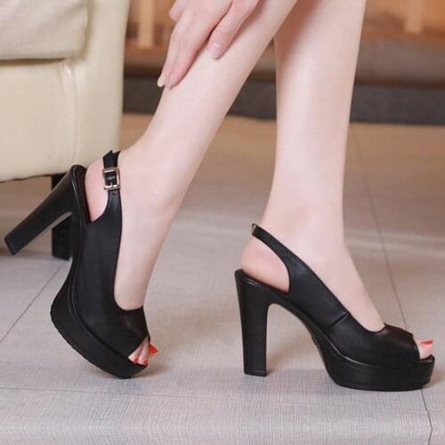RPHGVD Pumps
