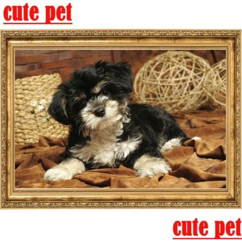 Schnauzer 5d Diy Diamond Painting Yorkshire Terrier Cross Stitch Diamond Embroidery Full Diamond Mosaic home art decoration gift