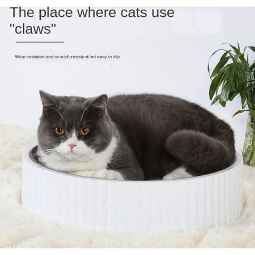 HOCHANNELME Toys For Cats