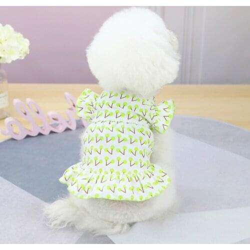 Small Dog Costume Skirt Cat Dog Clothes Dresses Summer Pet Dog Dress Princess Apparel Yorkshire Pomeranian Poodle Clothing 2021