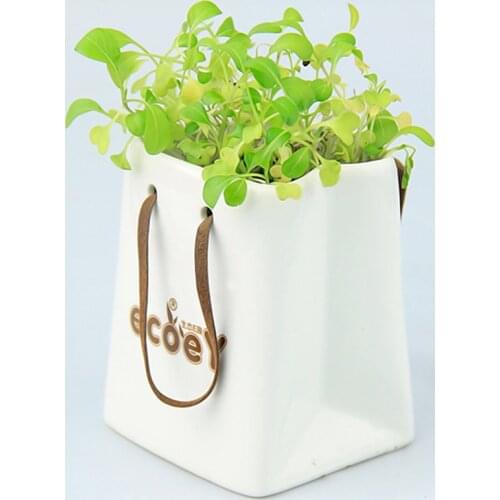ECOEY zakka creative cultivation of high-quality factory direct spot small pot of green Creative Desktop